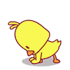黄色可爱小鸡0012