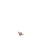 傻大雕0020