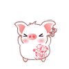 白白猪0037
