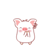 白白猪0048