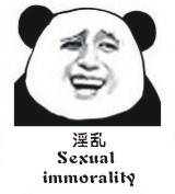 金馆长熊猫0058