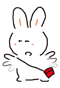 胖兔子粥粥0019