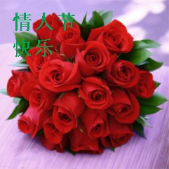 情人节0027