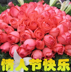 情人节0060