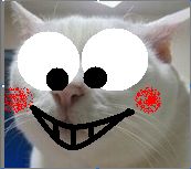 è0005