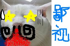 è0007