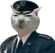 è0010