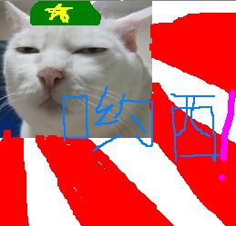 è0013