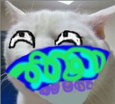 è0023