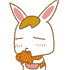 小袋兔0019
