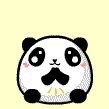 小熊猫0008