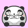 小熊猫0021